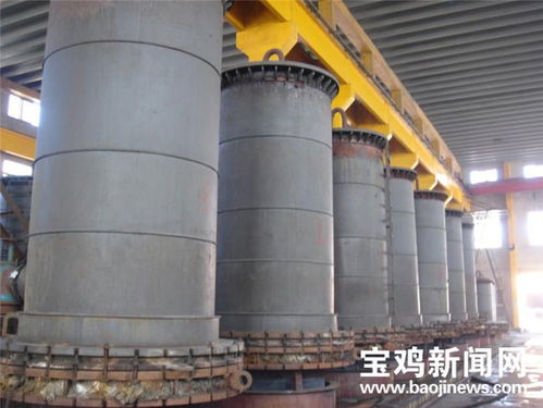 宝钛集团总经理雷让岐 以盛会为契机，以技术开发驱动企业更高质量发展